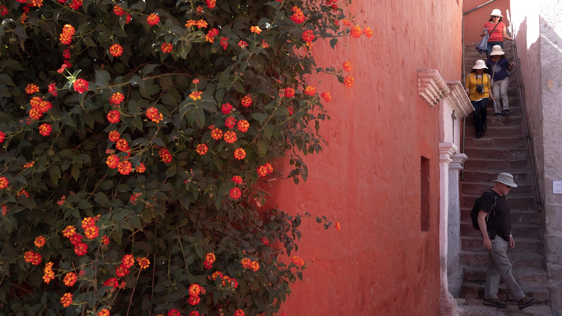 Monastery of St. Catalina in Arequipa